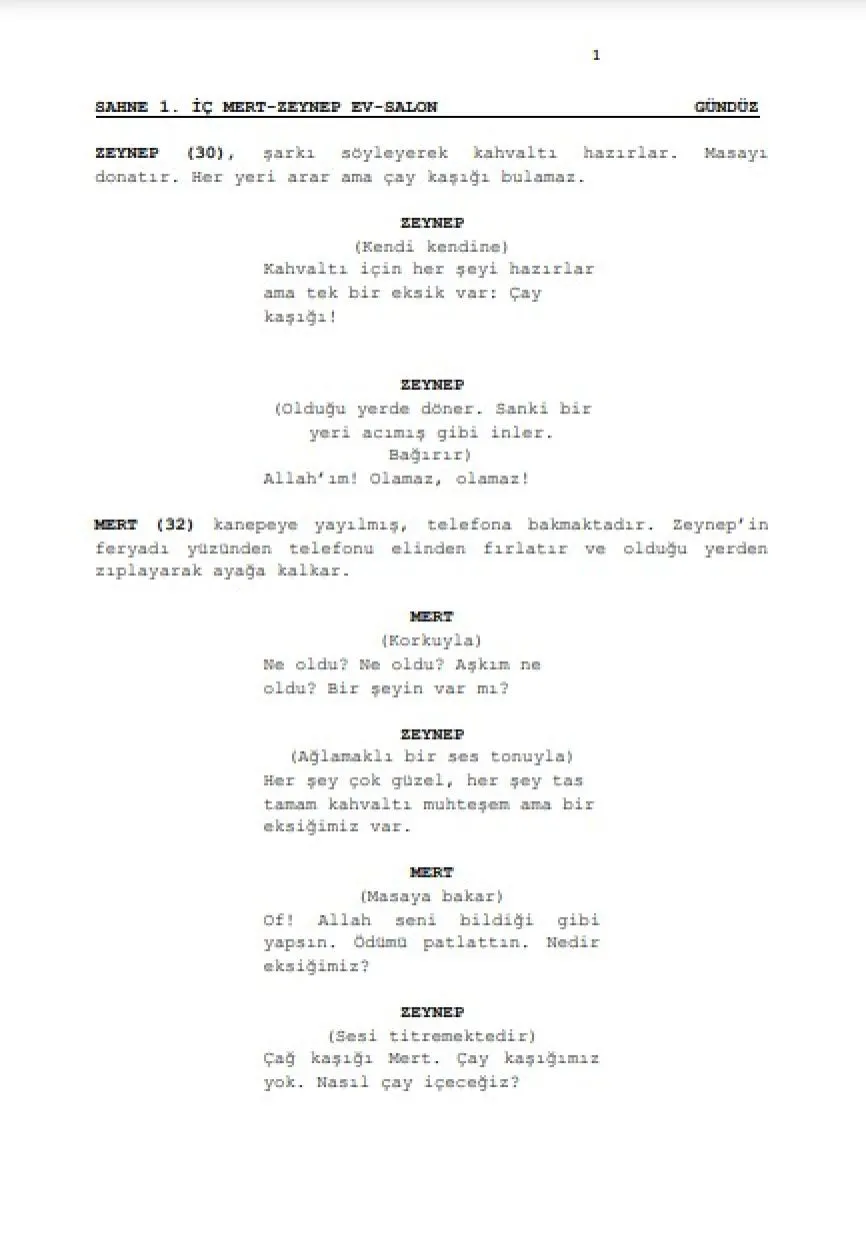 BİR ÇAY KAŞIĞI HAZİNE first page