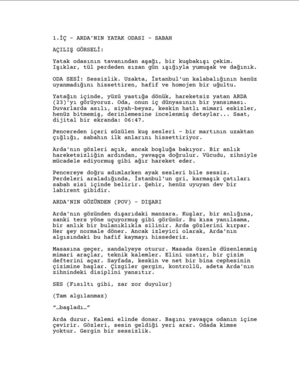 ALGININ LABİRENTİ  first page
