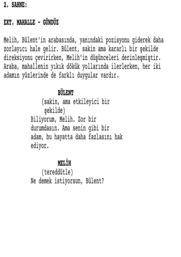 Dönüşüm sample page