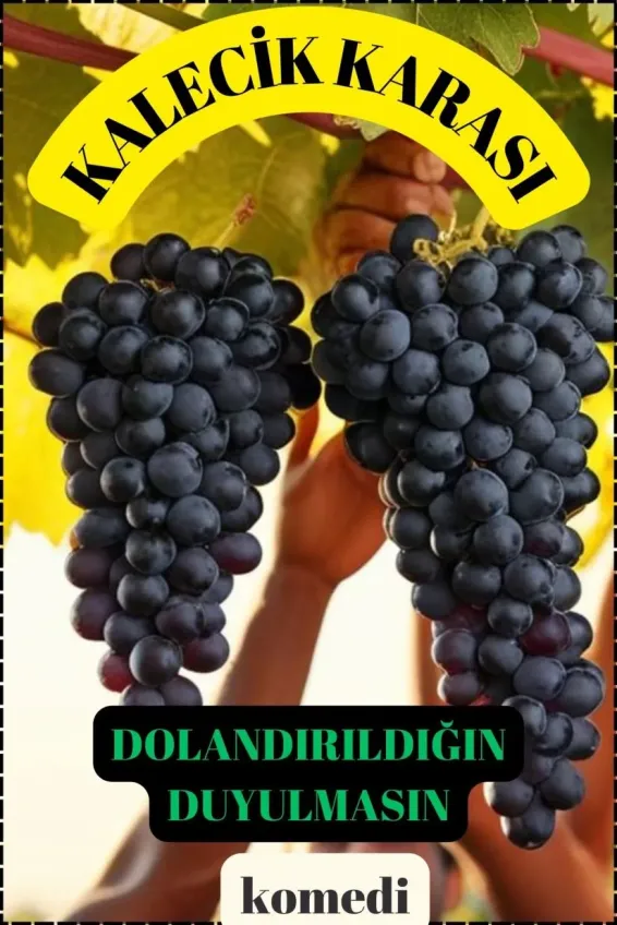 KALECİK KARASI scenario poster