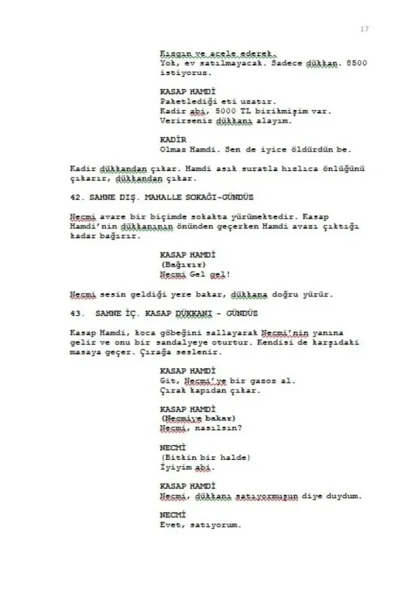ABALI NECMİ sample page