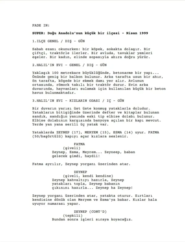 ZEYNEP first page