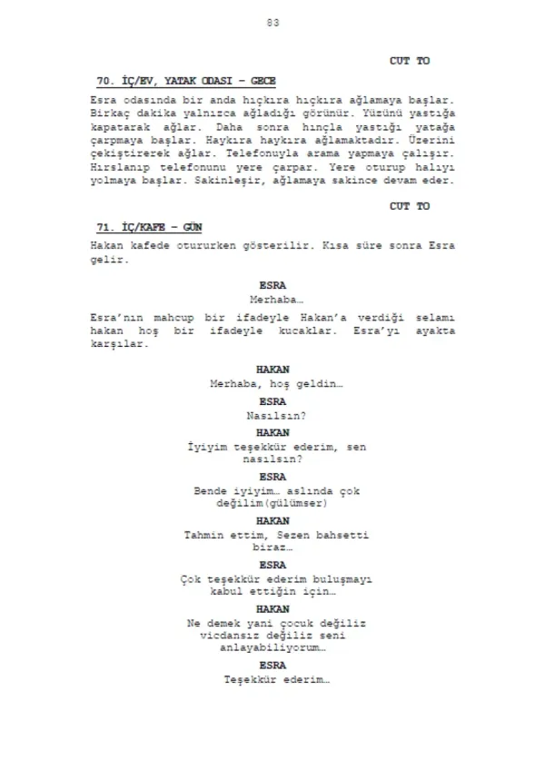 Süreç  sample page