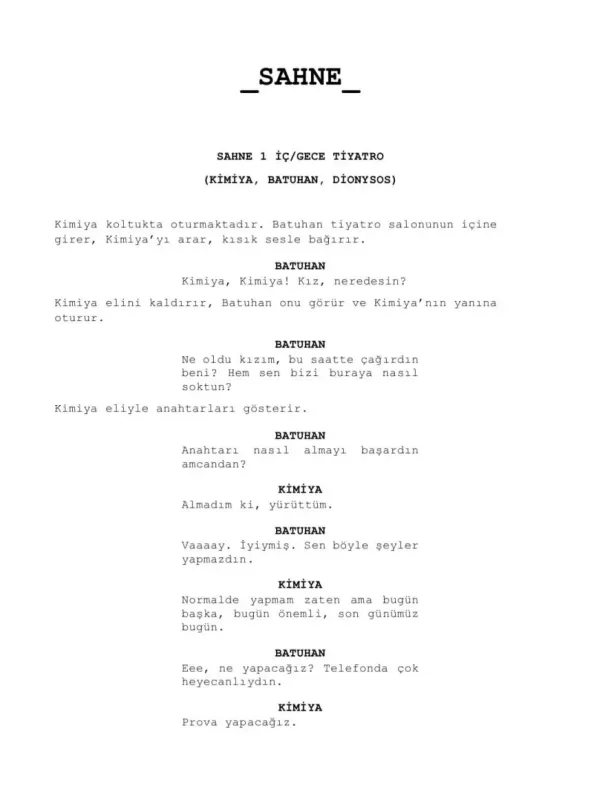 DECEPTİVE (THE STAGE) first page