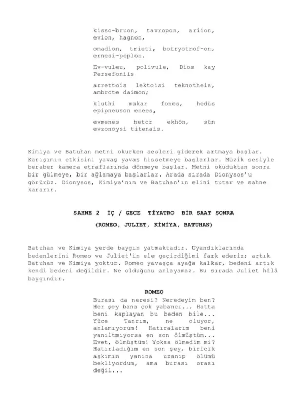 DECEPTİVE (THE STAGE) sample page