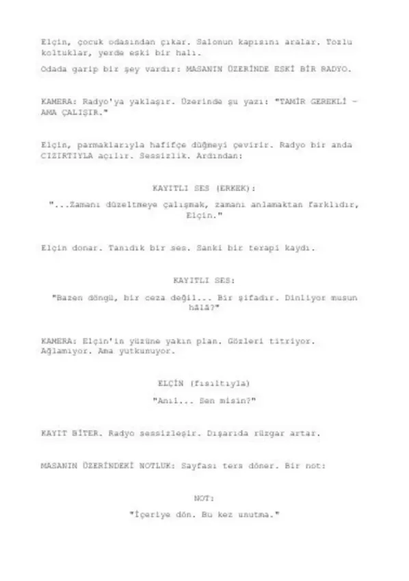 Döngü sample page