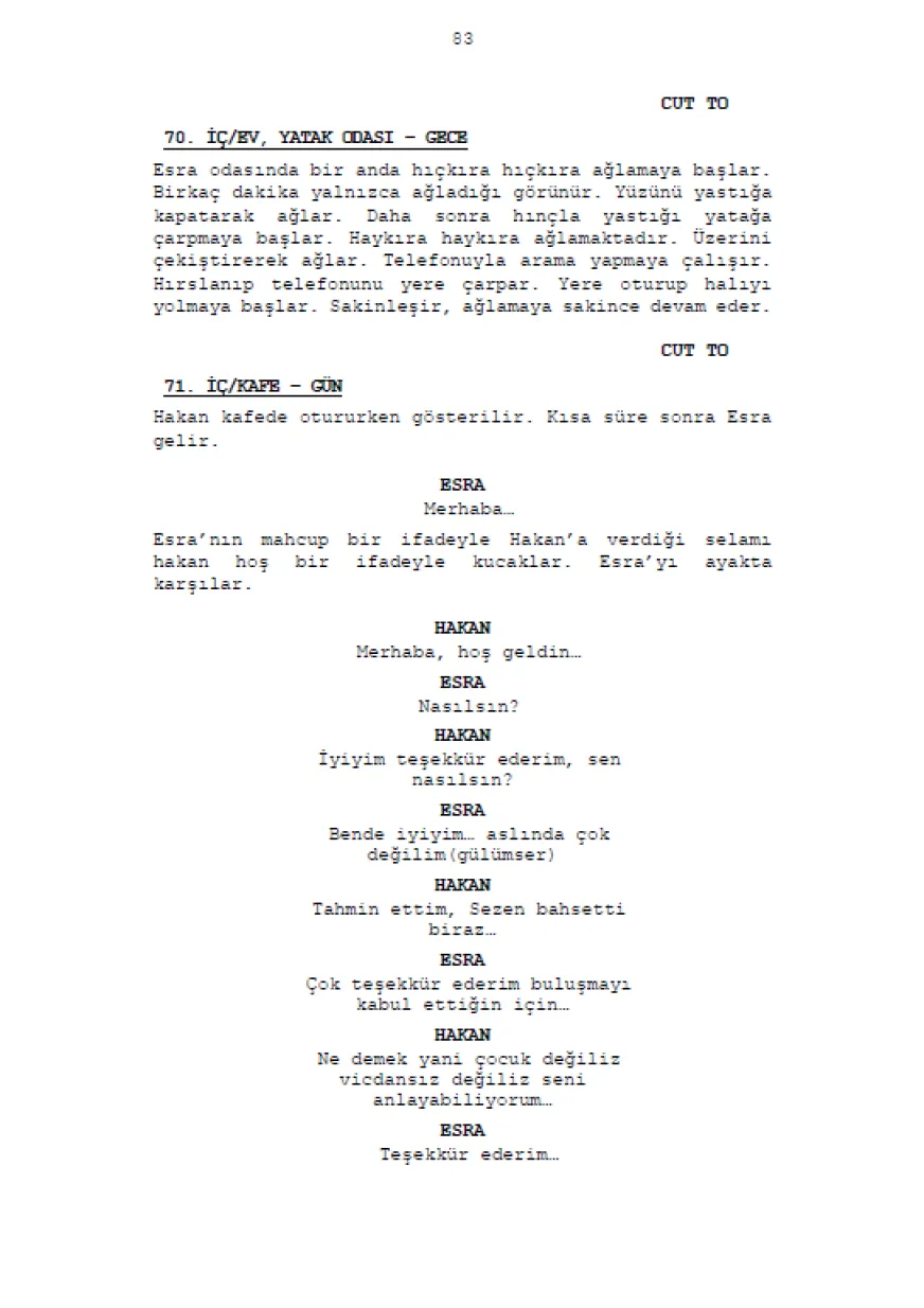 Süreç  sample page