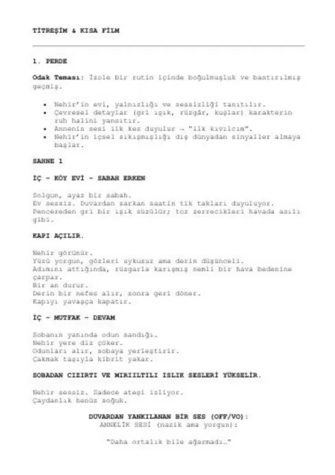 Titreşim first page thumbnail