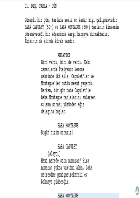 Romeo ve Juliet: Armut Dalda, Kız Balkonda first page thumbnail