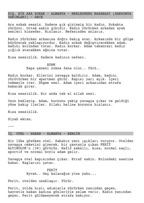 REAKSİYON first page thumbnail