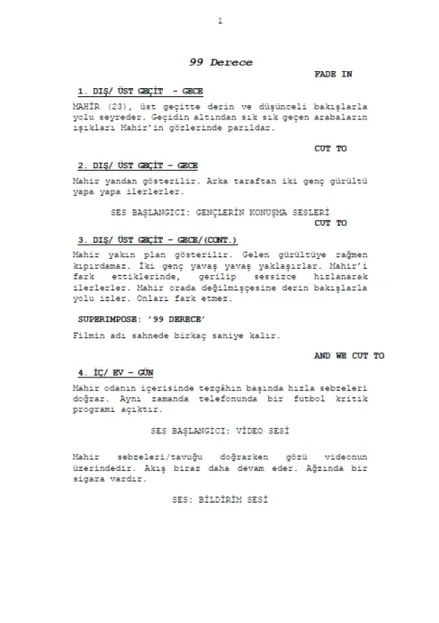 Doksan Dokuz Derece  first page thumbnail