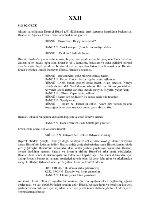 YİRMİ İKİ (XXII) sample page thumbnail