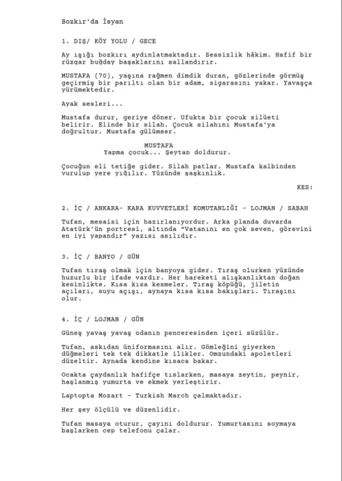 Bozkır'da İsyan first page thumbnail
