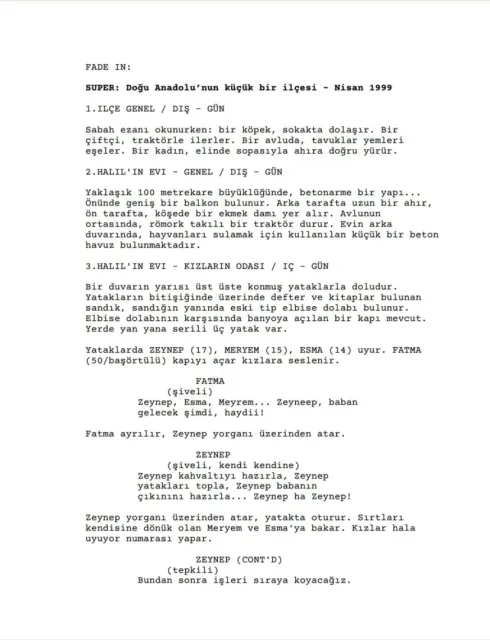 ZEYNEP first page thumbnail