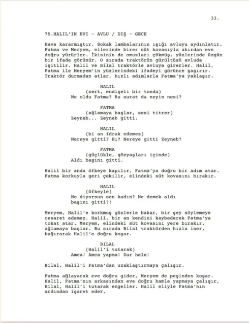 ZEYNEP sample page thumbnail