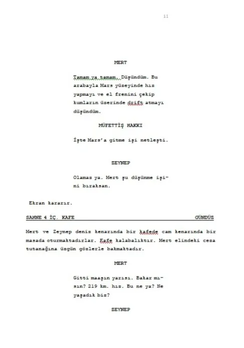 DÜŞÜNÜRSEN BOZARSIN! sample page thumbnail