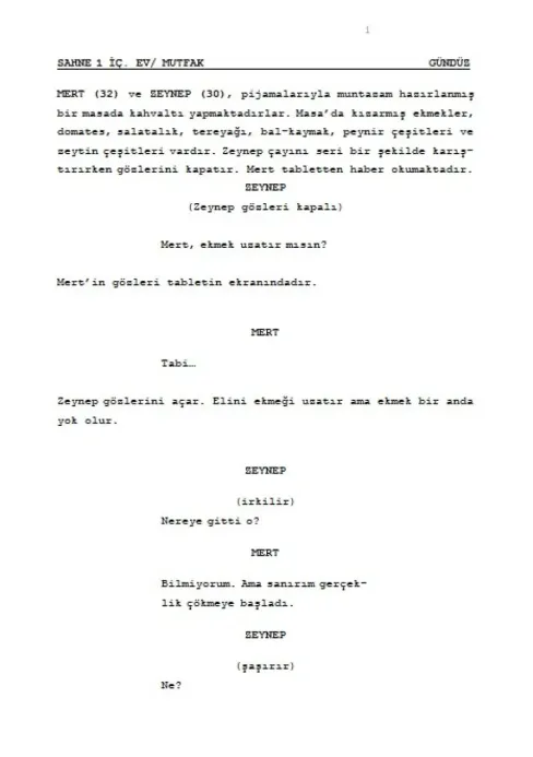 DÜŞÜNÜRSEN BOZARSIN! first page thumbnail