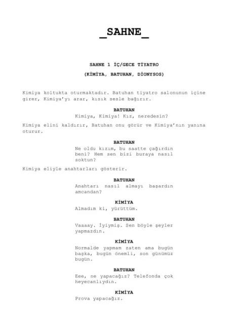 DECEPTİVE (THE STAGE) first page thumbnail