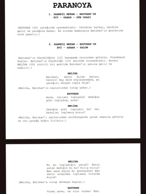 DECEPTİVE (PARANOYA) first page thumbnail
