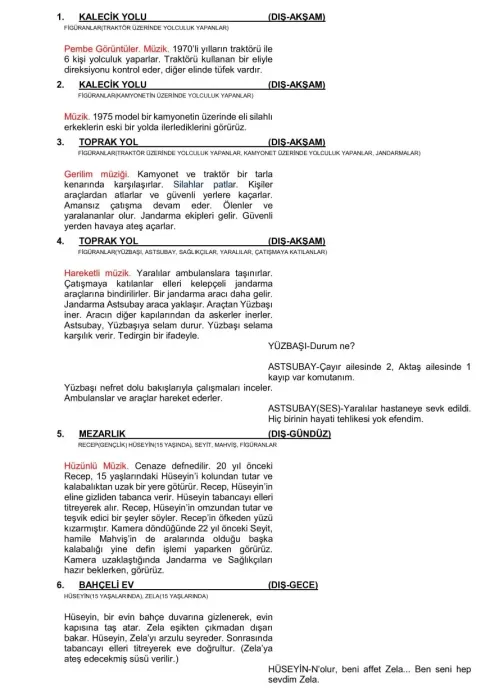 ZAHİDE first page thumbnail