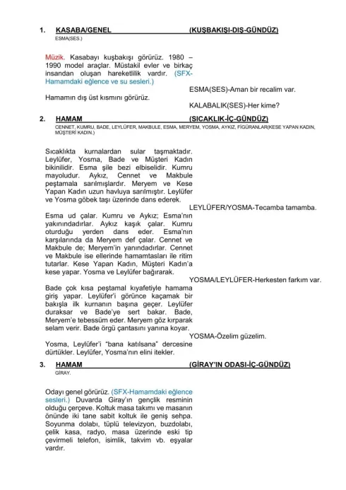 ÇİNGENE RUHLARIN DANSI first page thumbnail