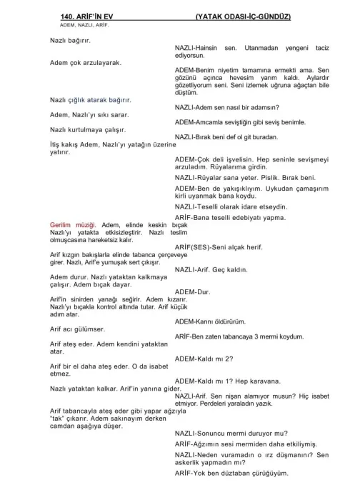 ŞARJÖRE ÜÇ MERMİ KOYDUM sample page thumbnail