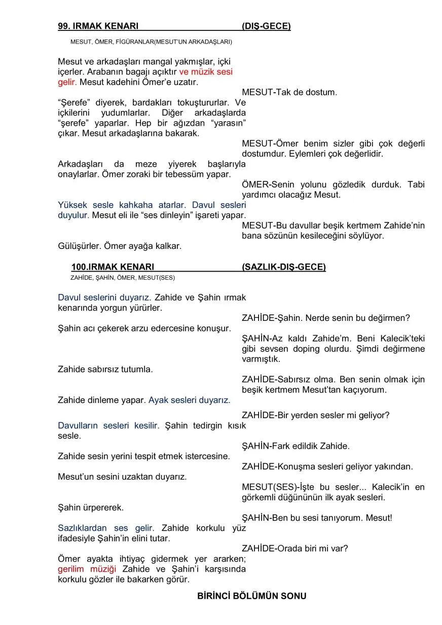 ZAHİDE sample page